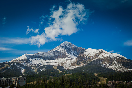 Solitario del Nevado pico ancho photo