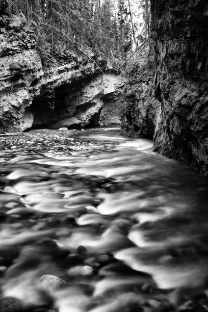 istock Johnston Canyon Banff National Park 849618692