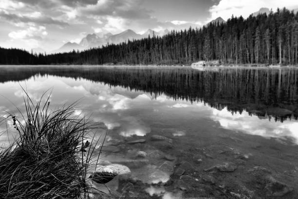 istock Herbert Lake Banff National Park 849621472