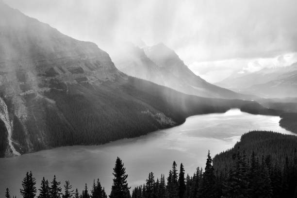 istock Peyto Lake Banff National Park 849621600