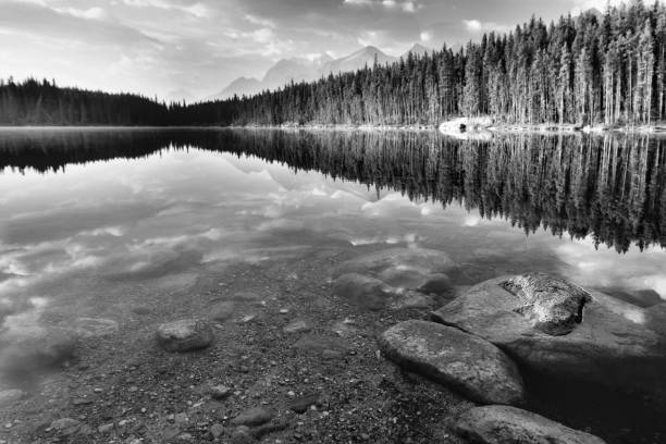 istock Herbert Lake Banff National Park 849621650