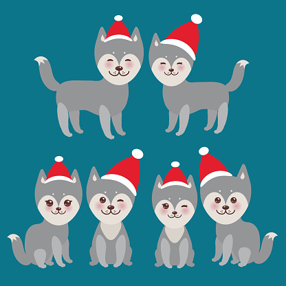 New Year's and Christmas funny gray husky dog in the red hat, Kawaii face with large eyes and pink cheeks, boy and girl  on blue background. Vector illustration