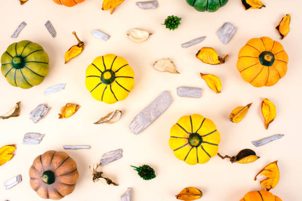 Decorative pumpkins on beige.