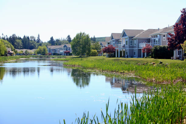 istock Very Nice Modern Homes In A Picturesque Waterside Setting 849657598
