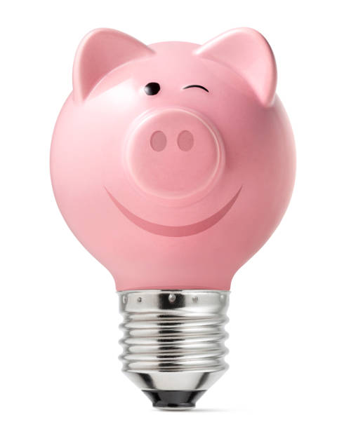 istock Piggy bank light bulb 849660520