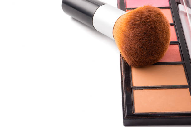 istock Makeup brush and palette on white background, Free space for text. 849663316