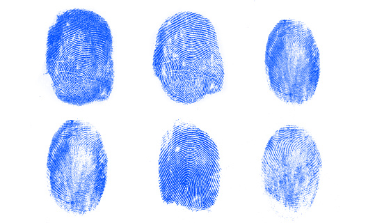 Blue fingerprints in line against white background