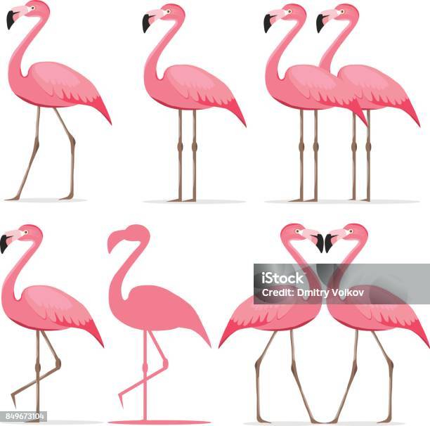 Flamant Rose Un Ensemble De Flamants Roses Vecteurs libres de droits et plus d'images vectorielles de Flamant - Flamant, Vectoriel, Afrique