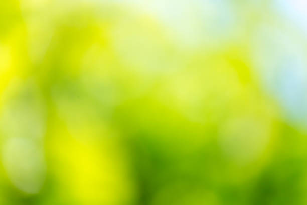 istock abstract bokeh background of nature 849676300