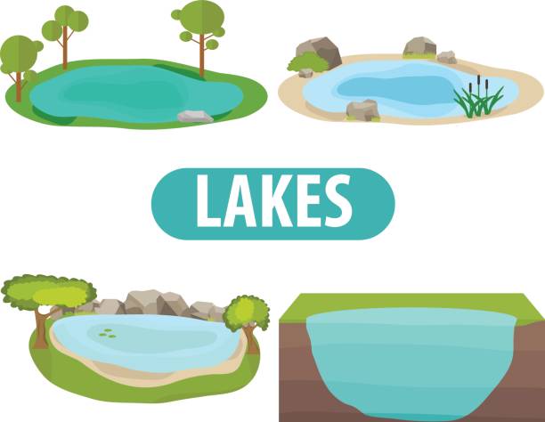 ilustrações, clipart, desenhos animados e ícones de lago, um conjunto de lagos com árvores e pedras - lake