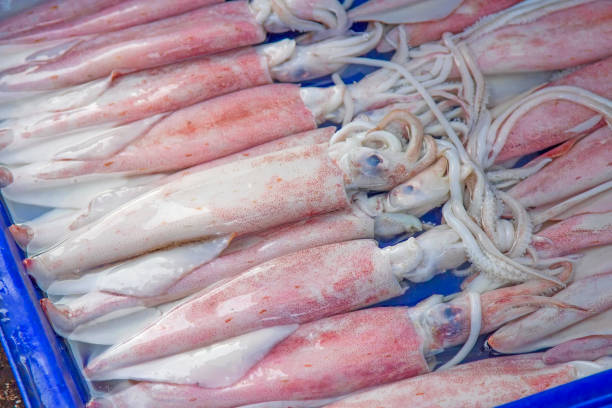 The squid is ready to cook in a blue pickup.
