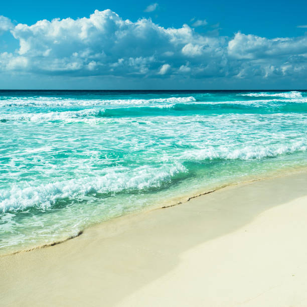 istock Caribbean beach panorama, Tulum, Mexico 849707696