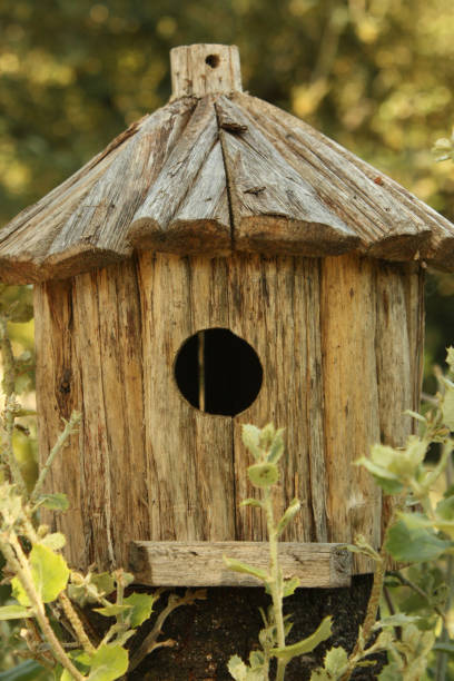 istock Wooden Nest for Birds Tits 849711076