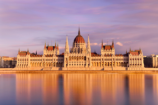 budapest, hungary, parliament, seagull, night, illuminated