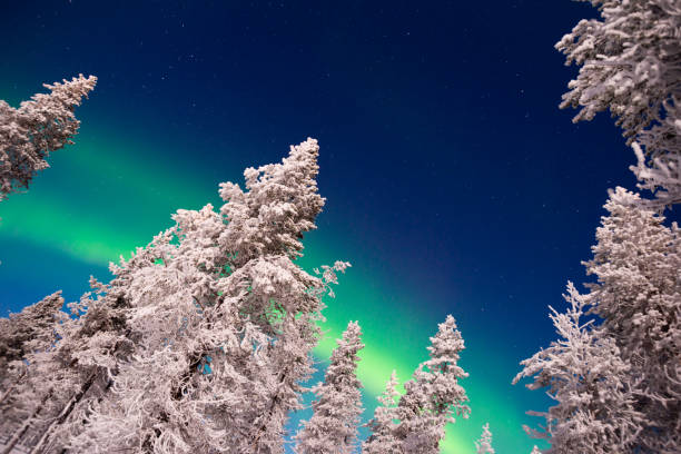 istock Northern lights, Aurora Borealis in Lapland, Finland 849716462