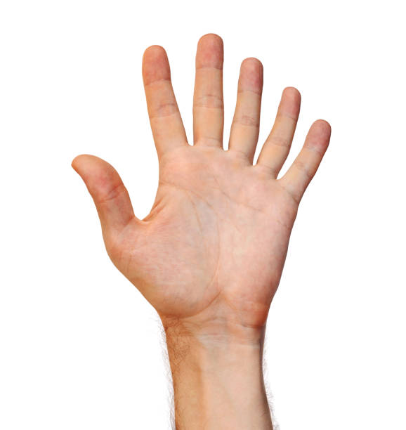 istock Genetic mutation concept of a six finger human hand due to an extra appendage 849721994