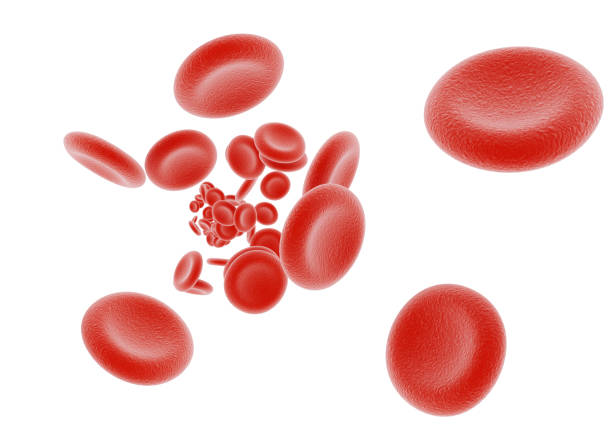 Blood Cell. 3d erythrocyte objects isolated on white background. red blood cell stock pictures, royalty-free photos & images