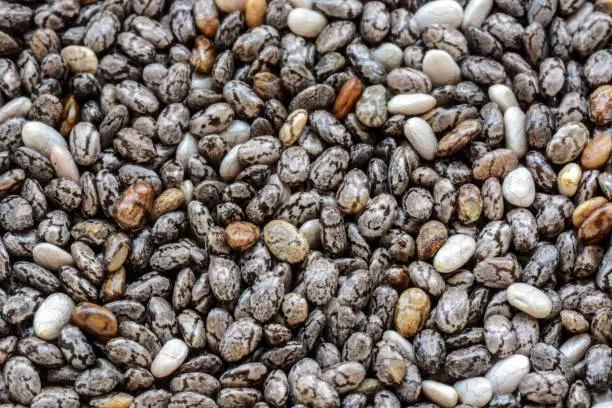 Raw food background of tiny chia seeds magnified under a macro lens.