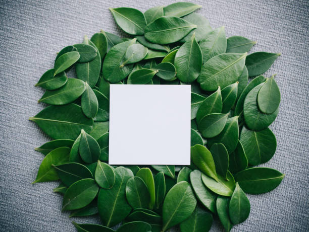 istock Creative layout made of flowers and leaves with paper card note 849727428