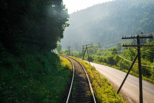 Travel, rest. A view of the railway tracks surrounded by trees, grass and bushes. Horizontal frame Travel, rest. A view of the railway tracks surrounded by trees, grass and bushes municipality of jesenice photos stock pictures, royalty-free photos & images
