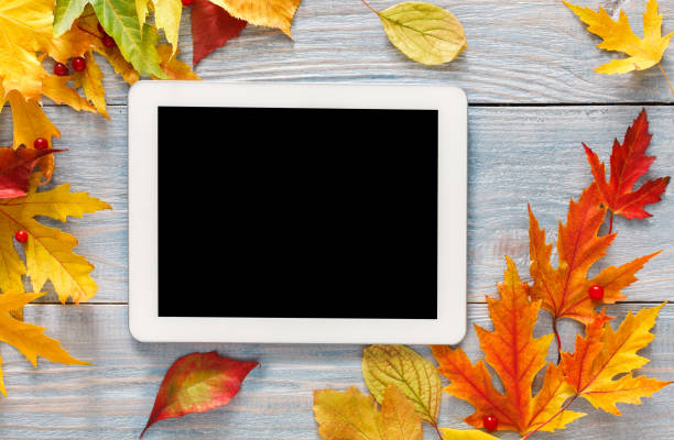 istock Autumn vibrant leaves on wooden background 849736706