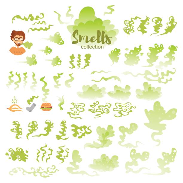 Ilustración de Con Malos Olores y más Vectores Libres de Derechos de Olor desagradable - Olor desagradable, Perfumado, Fila - Arreglo - iStock Ilustración de Con Malos Olores y más Vectores Libres de Derechos de Olor desagradable - Olor desagradable, Perfumado, Fila - Arreglo - iStock