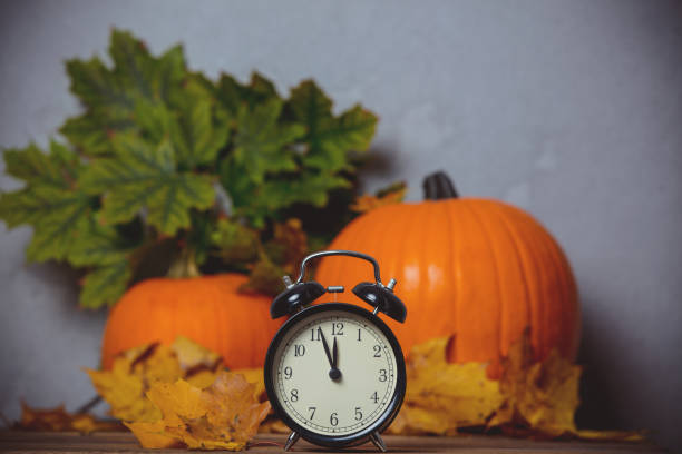 istock Retro alarm clock with leaves with pumpkin on background. 849741238