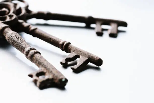 A bunch of old rusty keys look like they might open a castle dungeon!