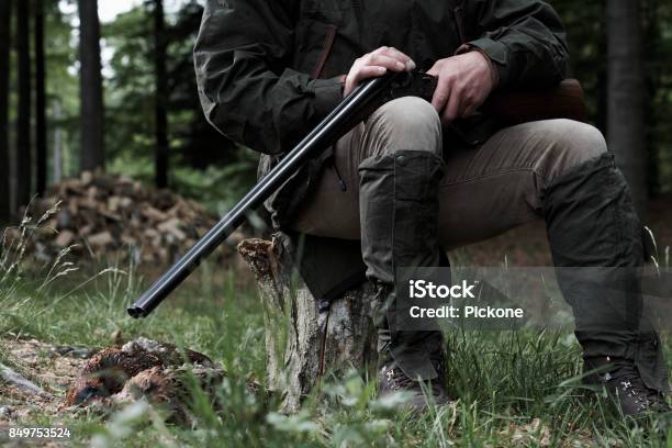 Hunting Stock Photo - Download Image Now - Hunter, Hunting - Sport, Blade of Grass