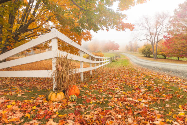 folhagem de outono em vermont - autumn falling leaf new england - fotografias e filmes do acervo