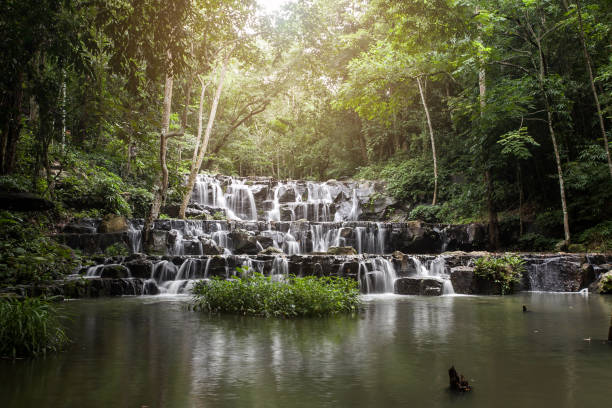 samlan waterfall in saraburi, thailand - stream forest river waterfall imagens e fotografias de stock