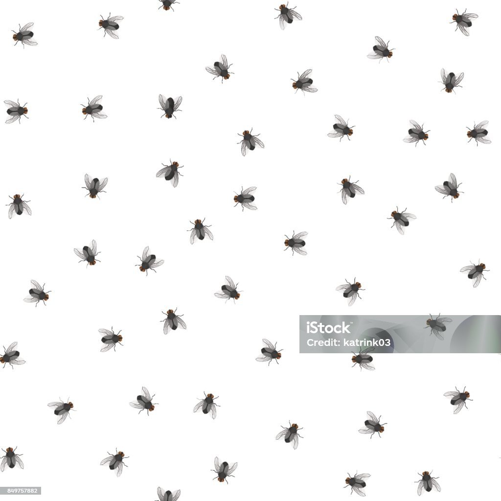 patrón de reptación vuela - arte vectorial de Mosca - Insecto libre de derechos