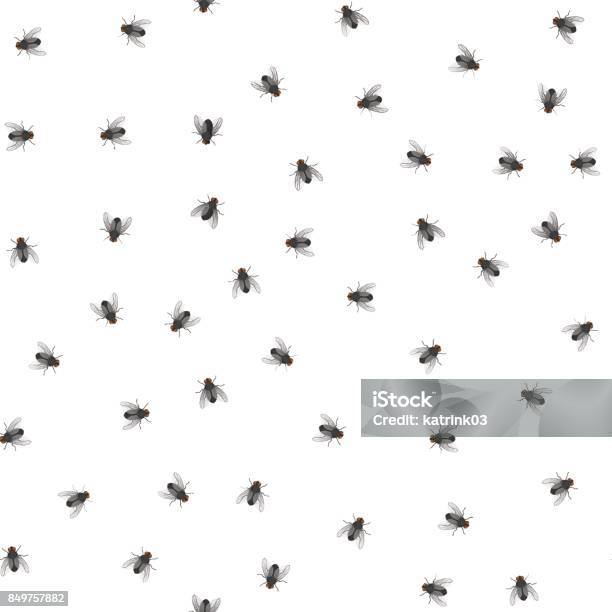 Ilustración de Patrón De Reptación Vuela y más Vectores Libres de Derechos de Mosca - Insecto - Mosca - Insecto, Volar, Insecto