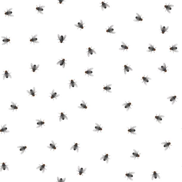 pattern of creeping flies Seamless pattern of creeping flies. Insects. Vector illustration. housefly stock illustrations