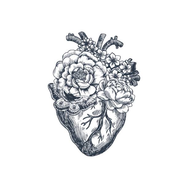 ilustraciones, imágenes clip art, dibujos animados e iconos de stock de tatuaje vintage ilustración de anatomía. floral corazón anatómico. ilustración de vector - retro ilustraciones