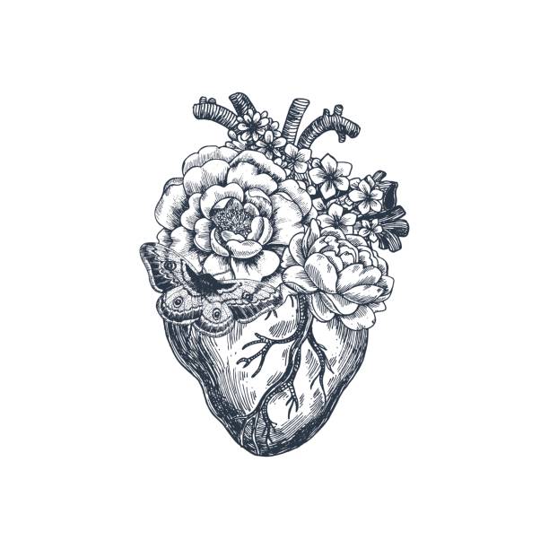 bildbanksillustrationer, clip art samt tecknat material och ikoner med tatuering anatomi vintage illustration. blommig anatomiskt hjärta. vektorillustration - human heart