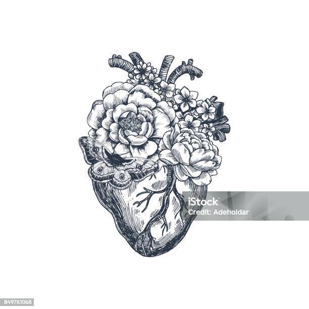 Tattoo Anatomy Vintage Illustration Floral Anatomical Heart Vector Illustration Stock Illustration - Download Image Now