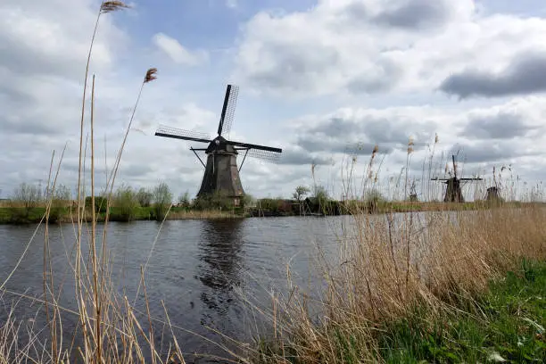 Dutch windmills in the afternoon build and standing next to polder water in kinderdijk south holland used to drain water out by using  wind power and keep land dry.