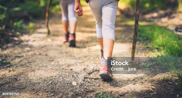 Children Hiking In Mountains Or Forest With Sport Hiking Shoes Stock Photo - Download Image Now