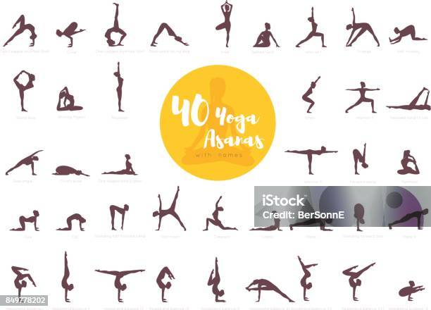 40 Yoga Asanas With Names Stock Illustration - Download Image Now - Yoga, Portrait, Pilates