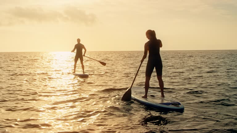 Man and woman paddling on their SUPs into the sunset
