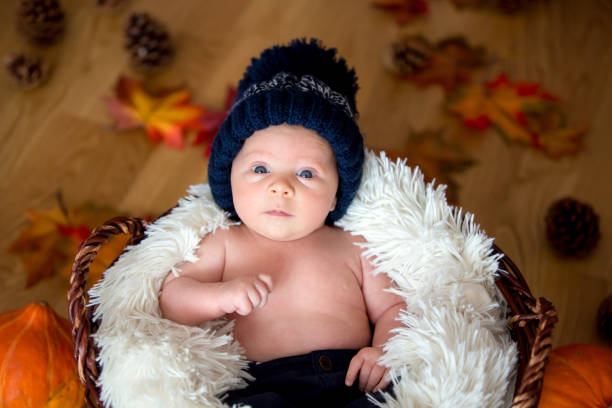 istock Cute newborn baby boy with knitted hat in a basket 849789682