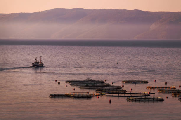 Fishing boat near fish farm in early morning on island Brac in Croatia