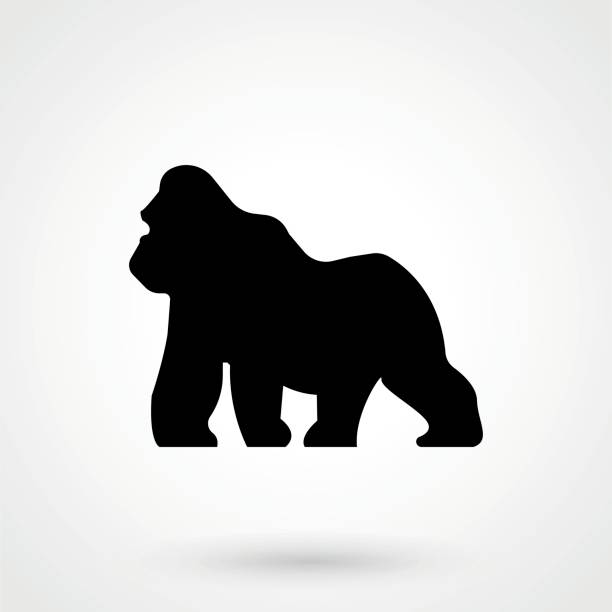 Gorilla Gorilla gorilla stock illustrations