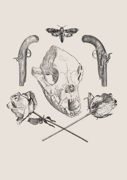 Vector illustration of Macaque Clan