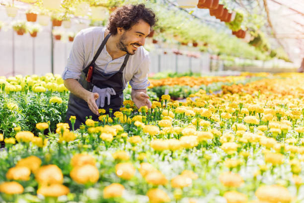 Happy gardener admiring the produce