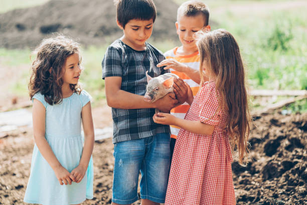 istock Group of children with piglet 849842806