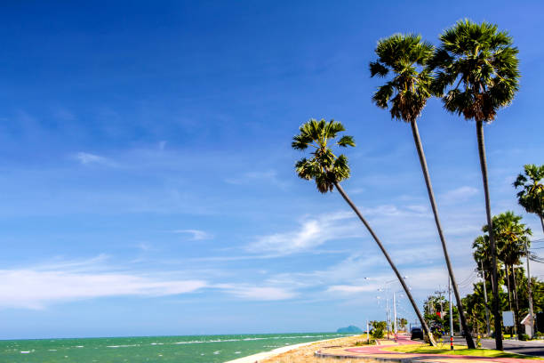 istock tropical beach sand and blue sky with vacation summer day 849845448