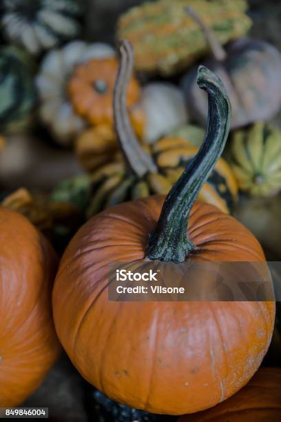 Pumpkin On Halloween Stock Photo - Download Image Now - Autumn, Halloween, Holiday - Event