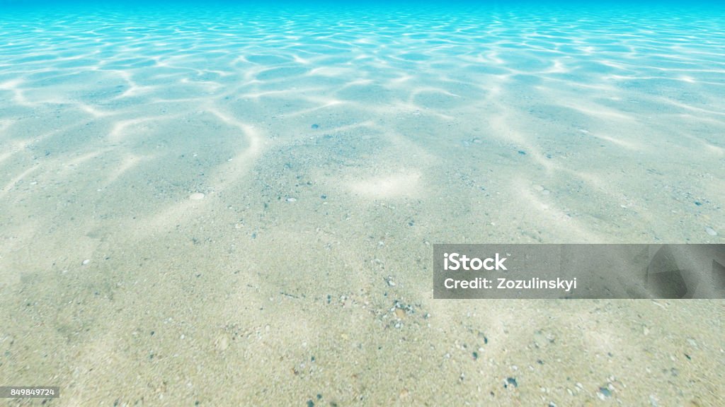 Under blue clear sea. Ocean floor. 3D render. Under blue clear sea. Ocean floor. 3D render Abstract Stock Photo